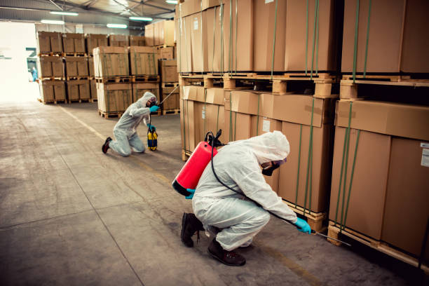 Flea Control Services in Hagan, GA