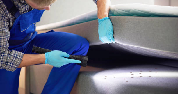 Best Best Pest Control Companies  in Han, GA