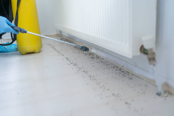 Best Best Pest Control Companies  in Han, GA